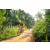 Team 36 / Raid Amazones Sri Lanka 2022 - J5 VTT