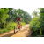 Team 36 / Raid Amazones Sri Lanka 2022 - J5 VTT