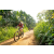 Team 311 / Raid Amazones Sri Lanka 2022 - J5 VTT