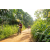 Team 311 / Raid Amazones Sri Lanka 2022 - J5 VTT