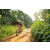 Team 311 / Raid Amazones Sri Lanka 2022 - J5 VTT
