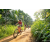 Team 43 / Raid Amazones Sri Lanka 2022 - J5 VTT