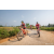 Team 64 / Raid Amazones Sri Lanka 2022 - J5 VTT