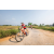 Team 33 / Raid Amazones Sri Lanka 2022 - J5 VTT