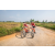 Team 76 / Raid Amazones Sri Lanka 2022 - J5 VTT