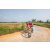Team 312 / Raid Amazones Sri Lanka 2022 - J5 VTT