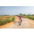 Team 29 / Raid Amazones Sri Lanka 2022 - J5 VTT