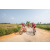 Team 90 / Raid Amazones Sri Lanka 2022 - J5 VTT