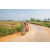 Team 328 / Raid Amazones Sri Lanka 2022 - J5 VTT