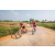 Team 81 / Raid Amazones Sri Lanka 2022 - J5 VTT