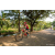 Team 30 / Raid Amazones Sri Lanka 2022 - J5 VTT