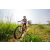 Team 340 / Raid Amazones Sri Lanka 2022 - J5 VTT