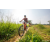 Team 89 / Raid Amazones Sri Lanka 2022 - J5 VTT