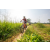 Team 89 / Raid Amazones Sri Lanka 2022 - J5 VTT
