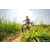 Team 313 / Raid Amazones Sri Lanka 2022 - J5 VTT