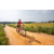 Team 08 / Raid Amazones Sri Lanka 2022 - J5 VTT
