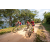 Team 307 / Raid Amazones Sri Lanka 2022 - J5 VTT