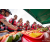Team 308 / Raid Amazones Sri Lanka 2022 - J5 VTT
