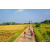 Team 07 / Raid Amazones Sri Lanka 2022 - J5 VTT
