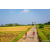 Team 338 / Raid Amazones Sri Lanka 2022 - J5 VTT