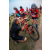 Team 33 / Raid Amazones Sri Lanka 2022 - J5 VTT