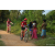 Team 53 / Raid Amazones Sri Lanka 2022 - J5 VTT
