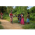 Team 36 / Raid Amazones Sri Lanka 2022 - J5 VTT