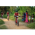 Team 318 / Raid Amazones Sri Lanka 2022 - J5 VTT