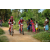 Team 71 / Raid Amazones Sri Lanka 2022 - J5 VTT