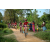 Team 01 / Raid Amazones Sri Lanka 2022 - J5 VTT