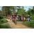 Team 22 / Raid Amazones Sri Lanka 2022 - J5 VTT