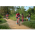 Team 338 / Raid Amazones Sri Lanka 2022 - J5 VTT