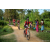 Team 07 / Raid Amazones Sri Lanka 2022 - J5 VTT