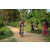 Team 322 / Raid Amazones Sri Lanka 2022 - J5 VTT