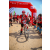 Team 86 / Raid Amazones Sri Lanka 2022 - J5 VTT