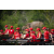 Raid Amazones Sri Lanka 2022 - Ambiance