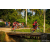 Team 28 / Raid Amazones Sri Lanka 2022 - J5 VTT