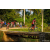 Team 28 / Raid Amazones Sri Lanka 2022 - J5 VTT