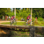 Team 311 / Raid Amazones Sri Lanka 2022 - J5 VTT