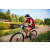 Team 311 / Raid Amazones Sri Lanka 2022 - J5 VTT