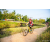 Team 336 / Raid Amazones Sri Lanka 2022 - J5 VTT