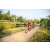 Team 29 / Raid Amazones Sri Lanka 2022 - J5 VTT