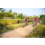 Team 306 / Raid Amazones Sri Lanka 2022 - J5 VTT