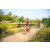 Team 40 / Raid Amazones Sri Lanka 2022 - J5 VTT