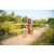 Team 40 / Raid Amazones Sri Lanka 2022 - J5 VTT