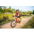 Team 22 / Raid Amazones Sri Lanka 2022 - J5 VTT