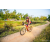Team 22 / Raid Amazones Sri Lanka 2022 - J5 VTT