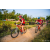 Team 71 / Raid Amazones Sri Lanka 2022 - J5 VTT