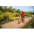 Team 340 / Raid Amazones Sri Lanka 2022 - J5 VTT