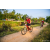 Team 25 / Raid Amazones Sri Lanka 2022 - J5 VTT